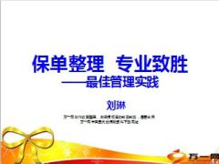 保单整理专业致胜泰州国寿刘琳分享25页.ppt