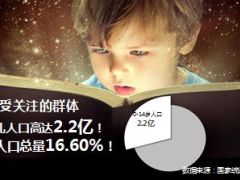 国寿大瑞鑫目标市场少儿客户市场45页.ppt
