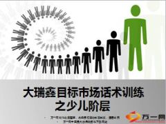 国寿大瑞鑫目标市场话术训练各阶层21页.ppt
