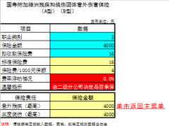 中国人寿绿洲系列保险测算模型.xls