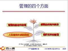 尊重人性的四原则MTP课程28页.ppt