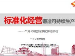 分公司营标准化经营推动启动64页.ppt