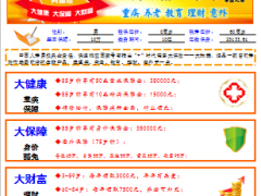 国寿瑞鑫典藏版自动计划书可调节意外保障.xls