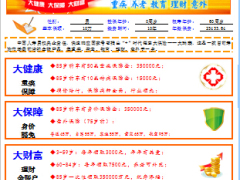 国寿瑞鑫典藏自动计划书.xls
