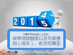 太保寿险保单贷款额度以及年度费用成本收支结算表12页.ppt