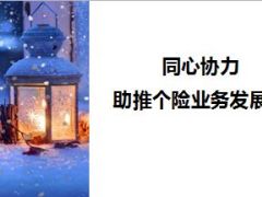 国寿瑞鑫两全典藏版等产品承保实务要点15页.ppt