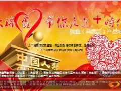 国寿新瑞鑫新瑞鑫2015产品介绍及FABE28页.ppt