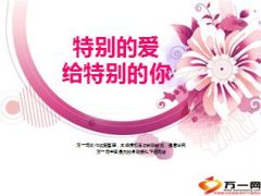 保险特别的爱给特别的你17页.ppt