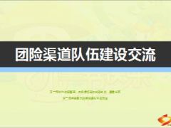 团险渠道支公司业务队伍发展情况未来发展想法29页.ppt
