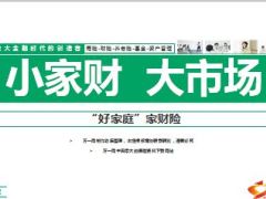 中国人寿家财险好家庭观念及产品48页.ppt