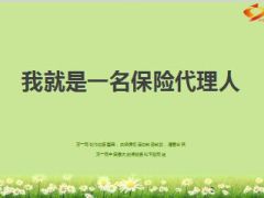 分享我就是一名保险代理人19页.ppt