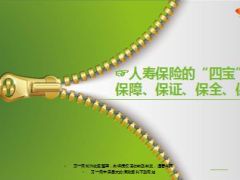 人寿保险的四宝保障保证保全保持12页.ppt