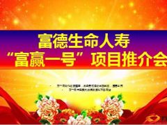 富德生命集团化中石化混改17页.ppt