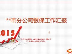 市分公司银保季度工作汇报下阶段举措19页.ppt