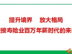 竞争力的本质重在学习胜在专业23页.ppt