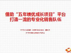 分享借助五年绩优成长项目平台打造一流销售队伍19页.ppt