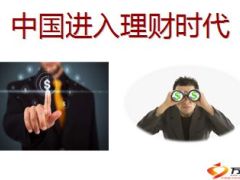 理财产说会课件新华金彩一生46页.ppt