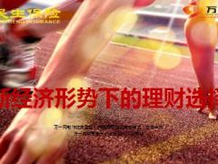 民生富贵鑫裕产品形态及特色背景32页.ppt