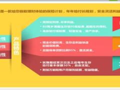 新华盛世赢家保险高安全性流动性利益性10页.ppt