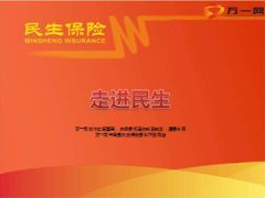 民生人寿2015版公司介绍16页.ppt