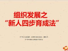 组织发展之新人四步育成法42页.ppt