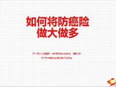 如何将国寿防癌险做大做多13页.ppt