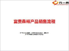 民生富贵鑫裕产品销售流程话术15页.ppt