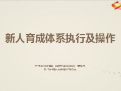 新人育成体系执行及操作43页.ppt