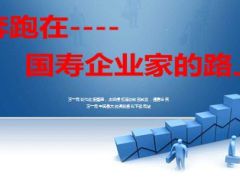 队伍发展常态运作体系工作模式51页.ppt