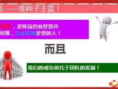 收展工作模式46页.ppt