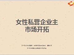 女性私营企业主市场开拓分享30页.ppt