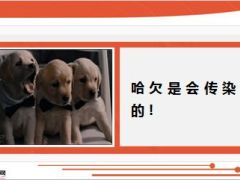 每日快乐早会15年6月2日使用15页.ppt