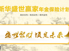 新华盛世赢家易拉宝横版竖版.rar