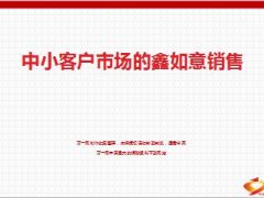中小客户市场国寿鑫如意销售21页.ppt