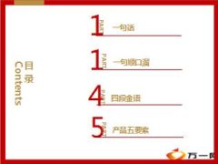 新华盛世赢家保险产品通关篇14页.ppt