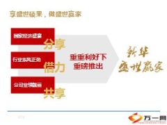 新华盛世赢家产品解析特色篇31页.ppt
