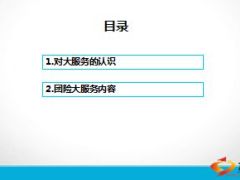 团险大服务内容认识10页.ppt