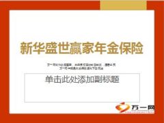 新华盛世赢家定位优势深度分析24页.ppt