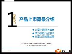 新华盛世赢家背景卖点篇19页.ppt