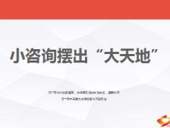 分享小咨询摆出大天地44页.ppt
