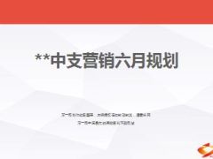 中支公司营销六月规划汇报30页.ppt