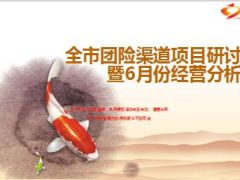市团险渠道项目研讨会暨6月份经营分析会38页.ppt