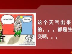 每日快乐早会15年6月9日使用16页.ppt