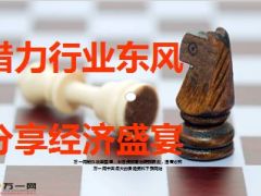 新华盛世赢家共享公司发展成果27页.ppt