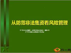 从防范非法集资看风险管理监察部30页.ppt