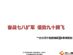 分公司个险营销渠道3季度规划34页.ppt
