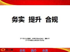 中支公司个险银保续收团险上半年汇报30页.ppt