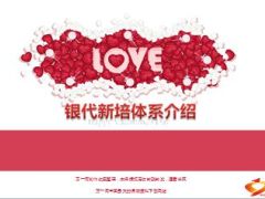 银代新人培训体系介绍29页.ppt