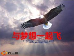 与梦想一起飞增员心态格局建设51页.ppt