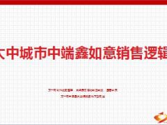 大中城市中端中国人寿鑫如意销售逻辑35页.ppt